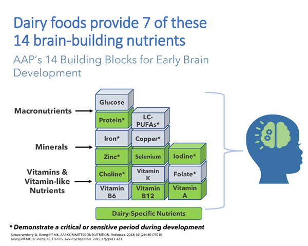 NDC_Dairy's brain building nutrients
