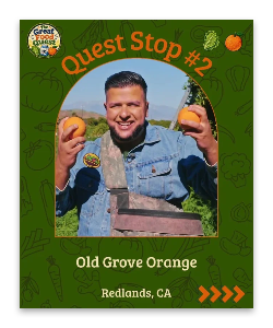 GreatFoodQuest_Ep2_ProdCatCard