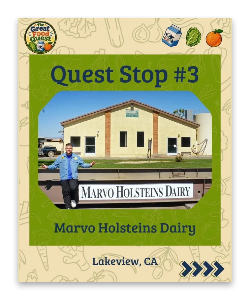 GreatFoodQuest_Ep3_ProdCatCard