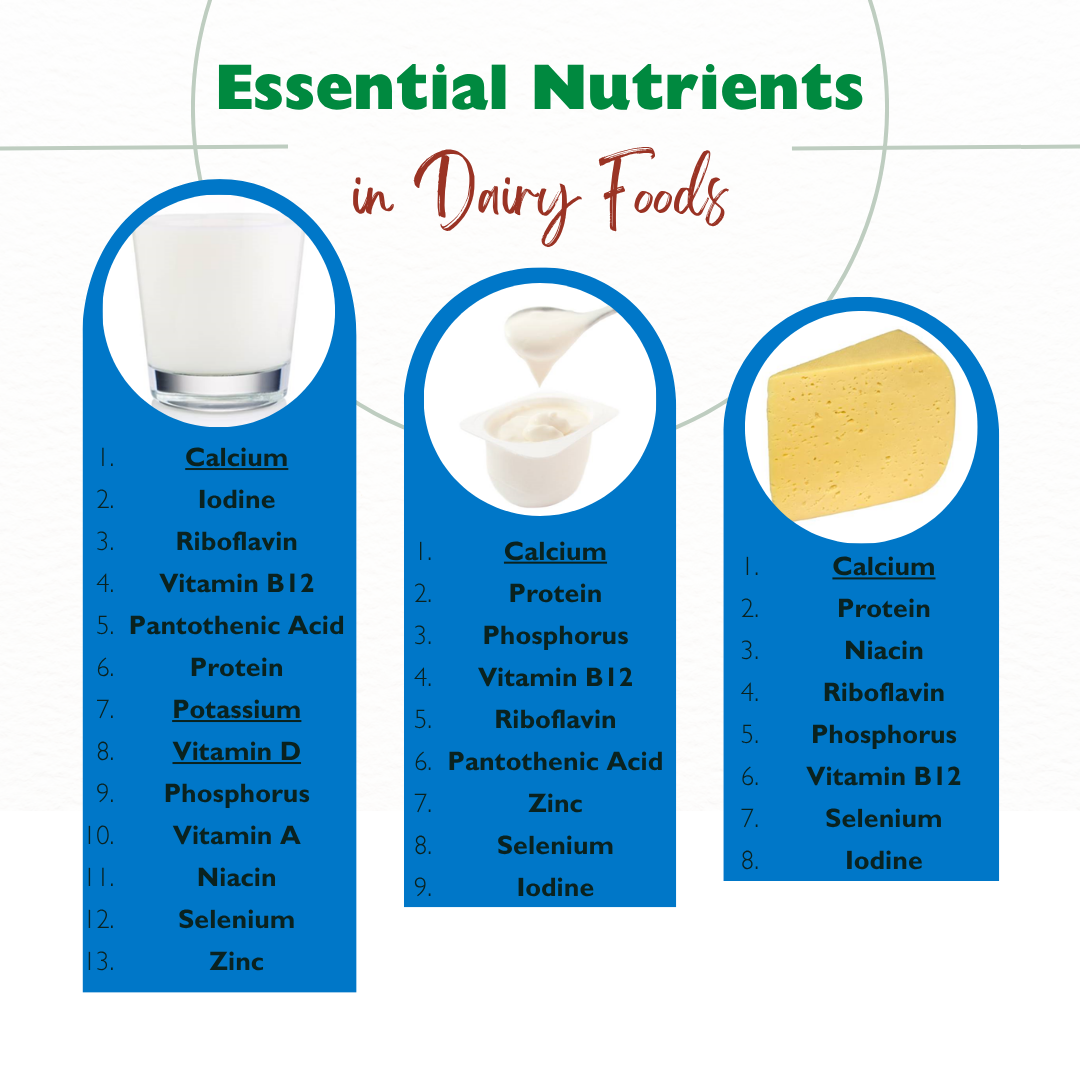 Essential Nutrients in Dairy Foods
