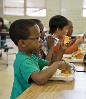 School Meals
