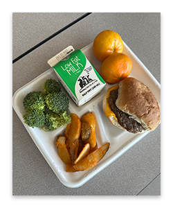 SchoolMeal_ProdCatCard