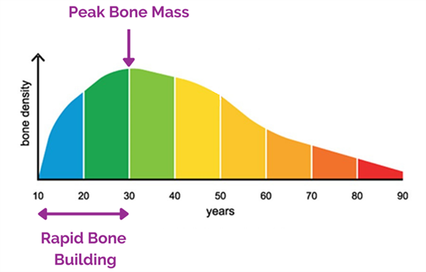 Bone Mass Bone Mass