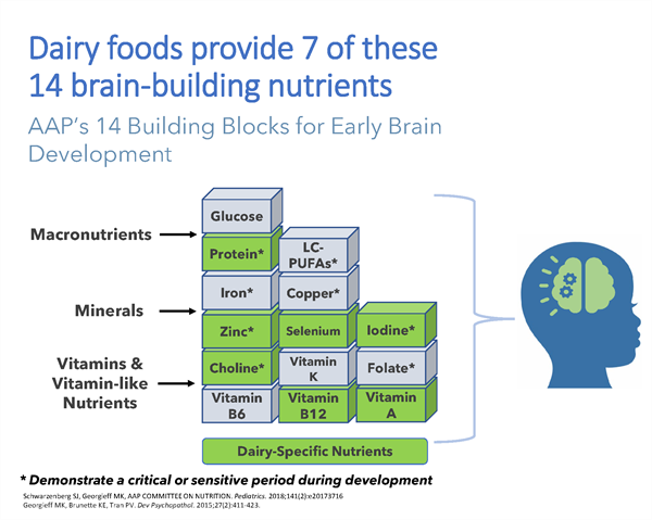 NDC_Dairy's brain building nutrients NDC_Dairy's brain building nutrients