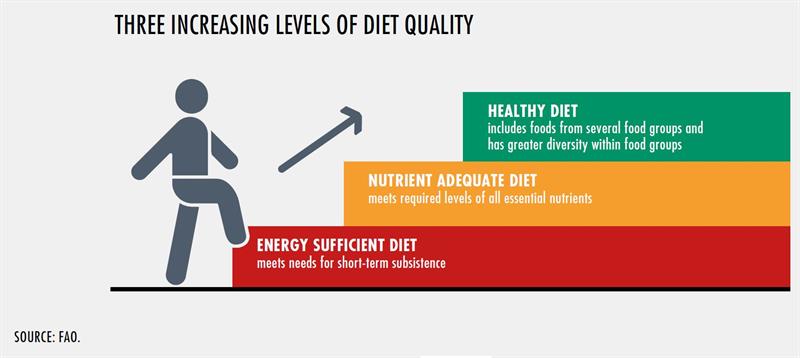 Trend #1 Diet Quality Life Stages