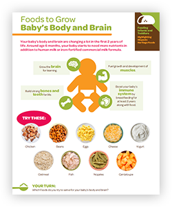 NACCHO_Pg3_FoodsToGrowBabysBrain_ENG_ProdCatCard
