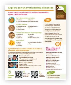 NACCHO_Pg5_ExploringFoods_SPAN_ProdCatCard