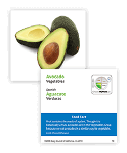 Identifying foods in the five food groups support a healthy eating pattern.