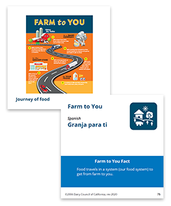 Identifying foods in the five food groups support a healthy eating pattern.