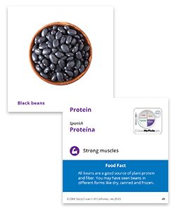 Identifying foods in the five food groups support a healthy eating pattern.