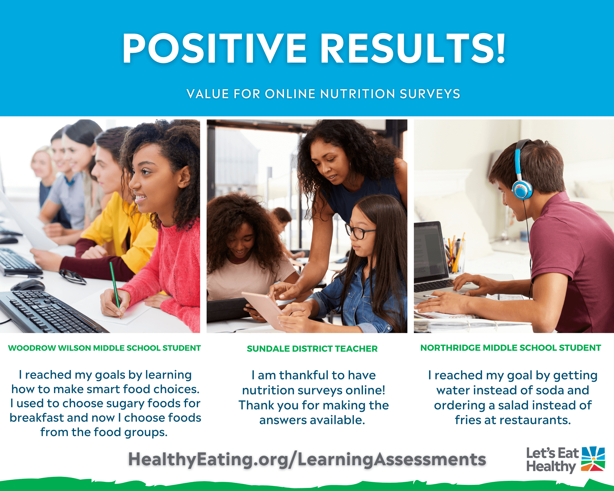 MS online survey input