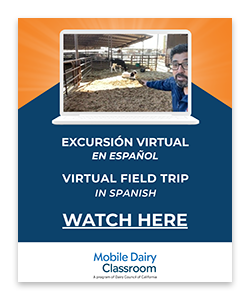 MDC_SpanishVFT_ProdCatCard