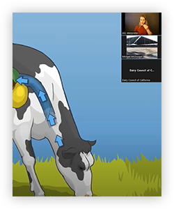 VFT_ASL_Digestion_ProdCatCard