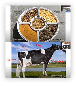VFT_HighSchool_Anatomy+Diet_ProdCatCard