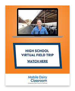 VFT_HighSchool_ProdCatCard