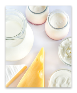 DairyFoods_ProdCatCard