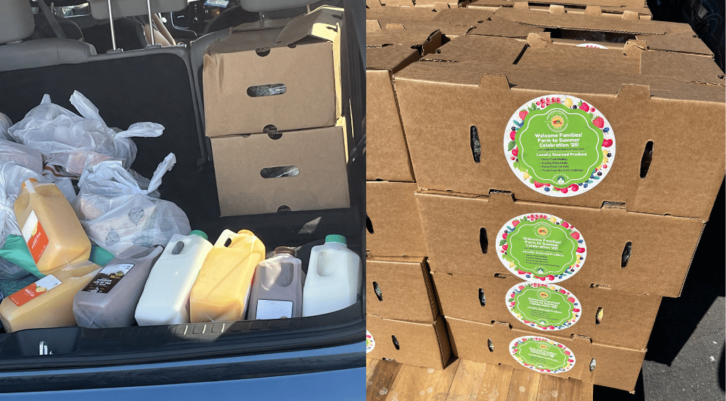 LodiSummerMeals6