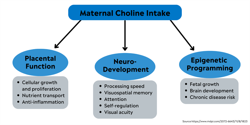 IndustryTrends2022_Infographic2 Read how dairy is beneficial during pregnancy.