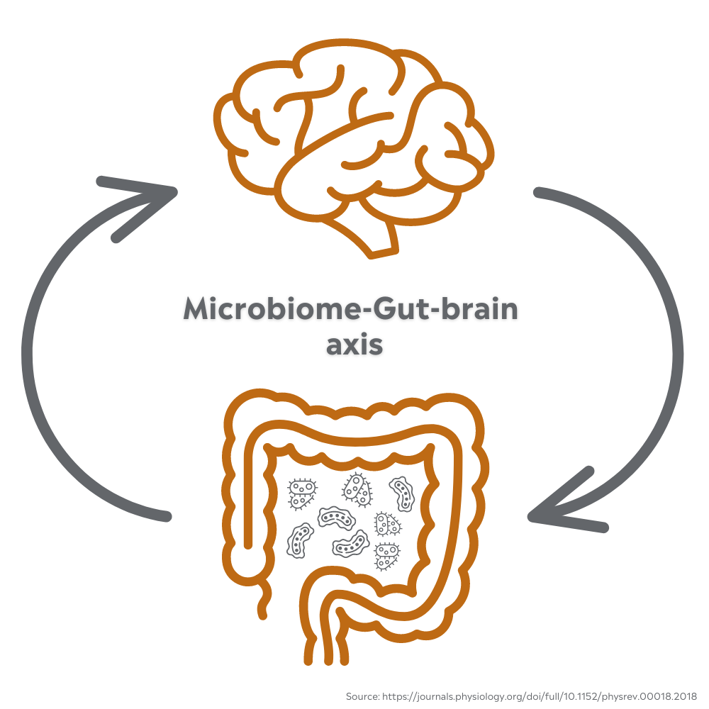 Read how the dairy food matrix improves gut health.