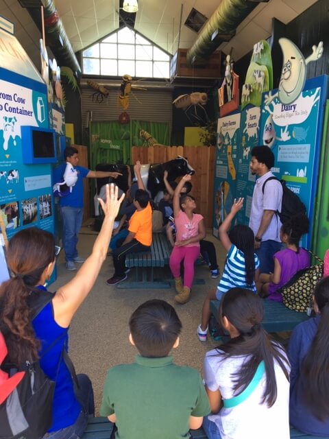 We support ag literacy by participating in fairs.