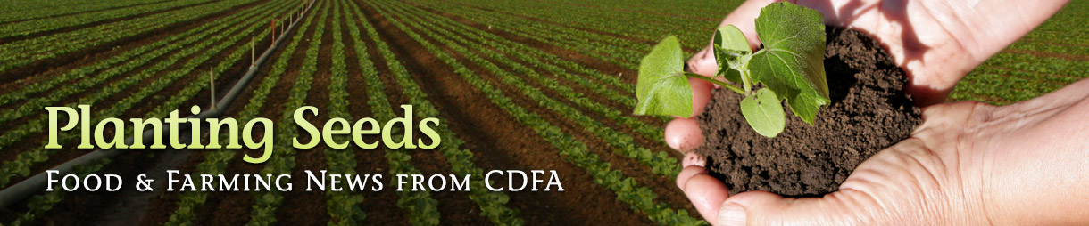 planting_seeds_banner