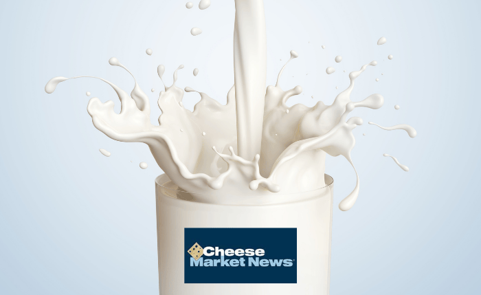 Newsroom_CheeseMarketNews_DetailFeature_Thumb