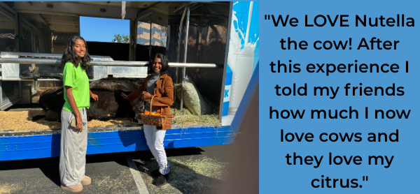 Nutella - Head Start